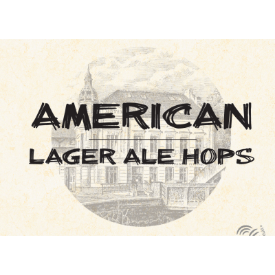 Harrach – American Lager Ale Hops