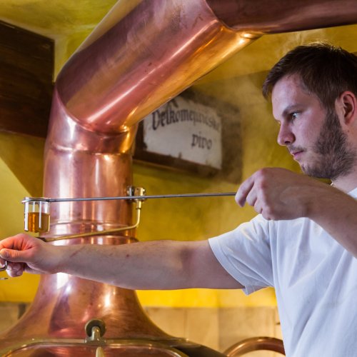Sládek zkouší vzorek piva Harrach v minipivovaru Jelínkova vila ve Velkém Meziříčí