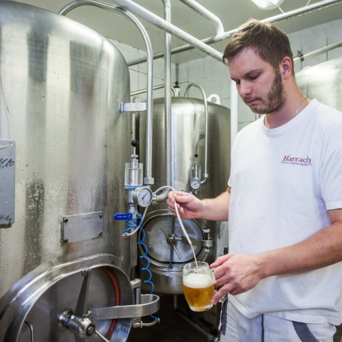 Sládek minipivovaru Jelínkova vila ve Velkém Meziříčí zkouší kvalitu piva Harrach