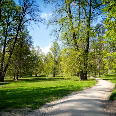 Zámek ve Velkém Meziříčí - zámecký park