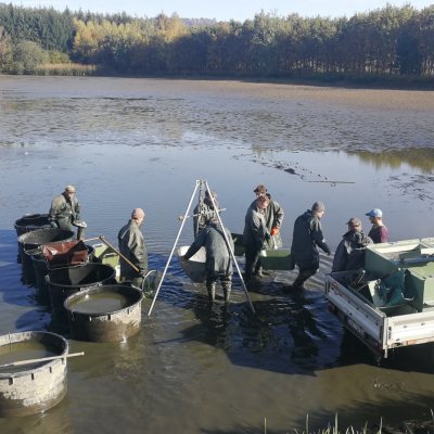 Výlov rybníka - zdroj ryb pro Jelínkovu vilu