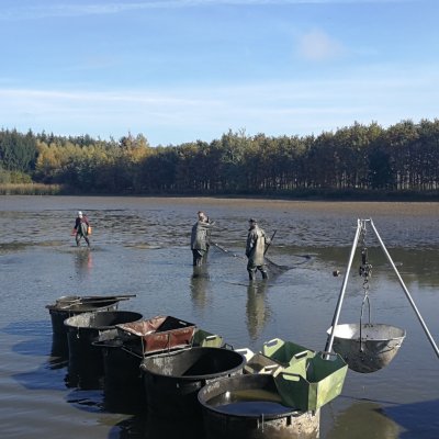 Výlov rybníka - zdroj ryb pro Jelínkovu vilu ve Velkém Meziříčí