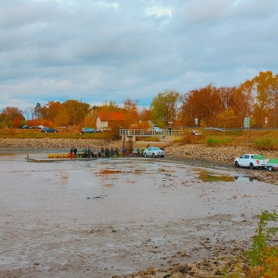 Podzimní výlov rybníka - zdroj ryb pro restauraci Jelínkova vila - rybník Rozběhlo u Náměšti nad Oslavou