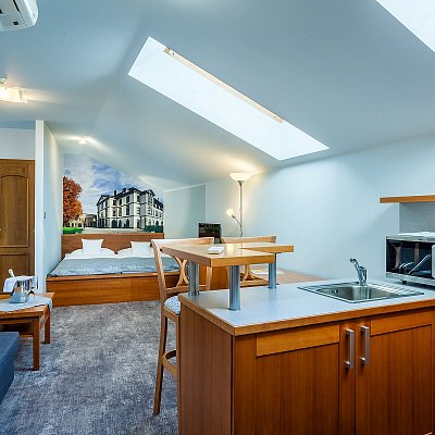 Standardní pokoj hotelu Jelínkova vila - celkový pohled, minikuchyňka, postel, vybavení