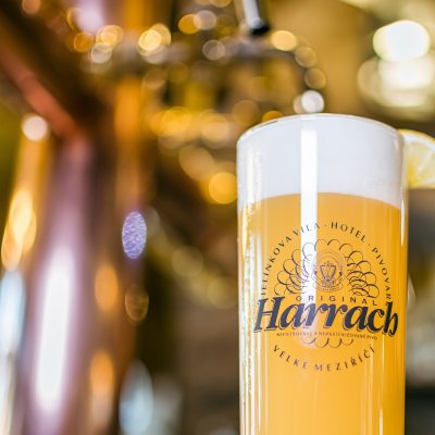Detail pšeničného piva Harrach v Jelínkově vile