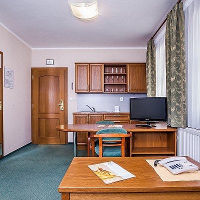 Apartmán hotelu Jelínkova vila - pohled ze sedačky na kuchyňku